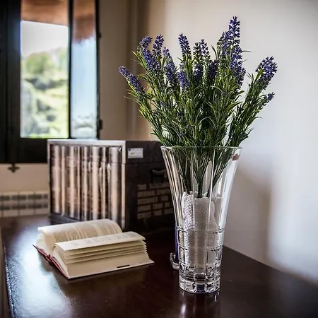 Il Giardino Di Lavanda Hotel Montesano sulla Marcellana Buitenkant foto