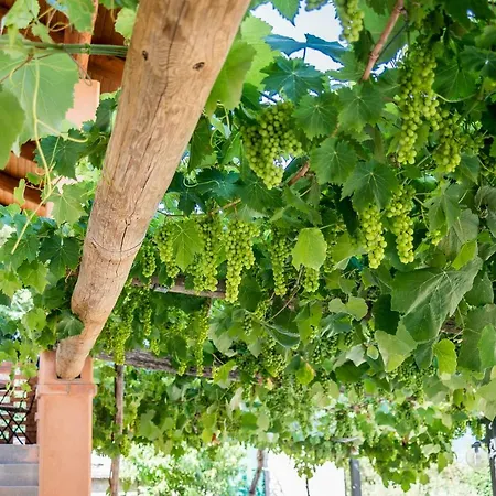 Il Giardino Di Lavanda Hotel Montesano sulla Marcellana Buitenkant foto