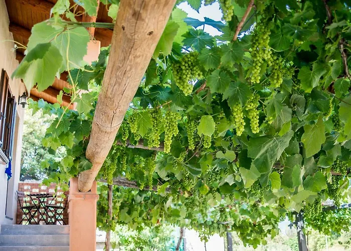Il Giardino Di Lavanda