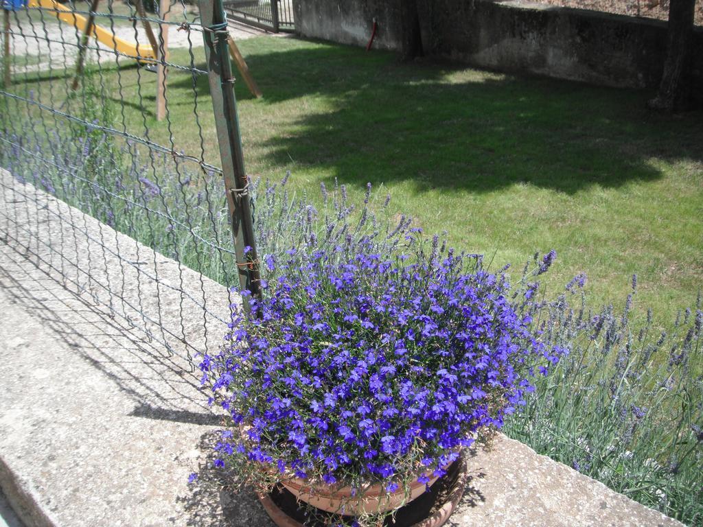 Il Giardino Di Lavanda