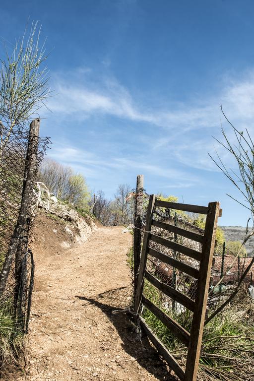 Il Giardino Di Lavanda Montesano sulla Marcellana