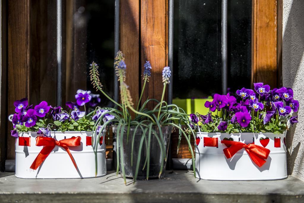 Il Giardino Di Lavanda