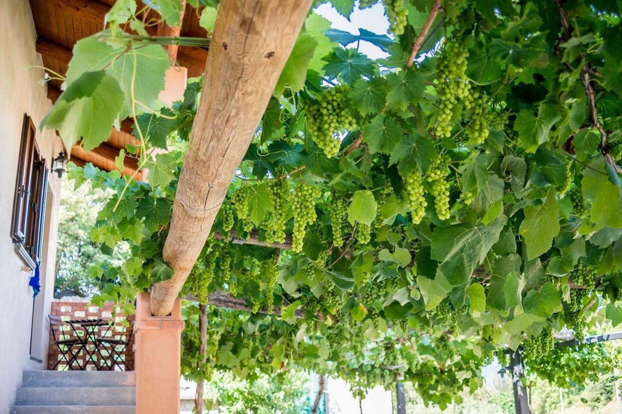 Gasthof Il Giardino Di Lavanda *