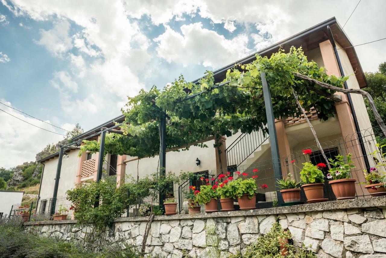 Il Giardino Di Lavanda